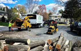 Best Lawn Drainage Solutions  in Niagara Falls, NY